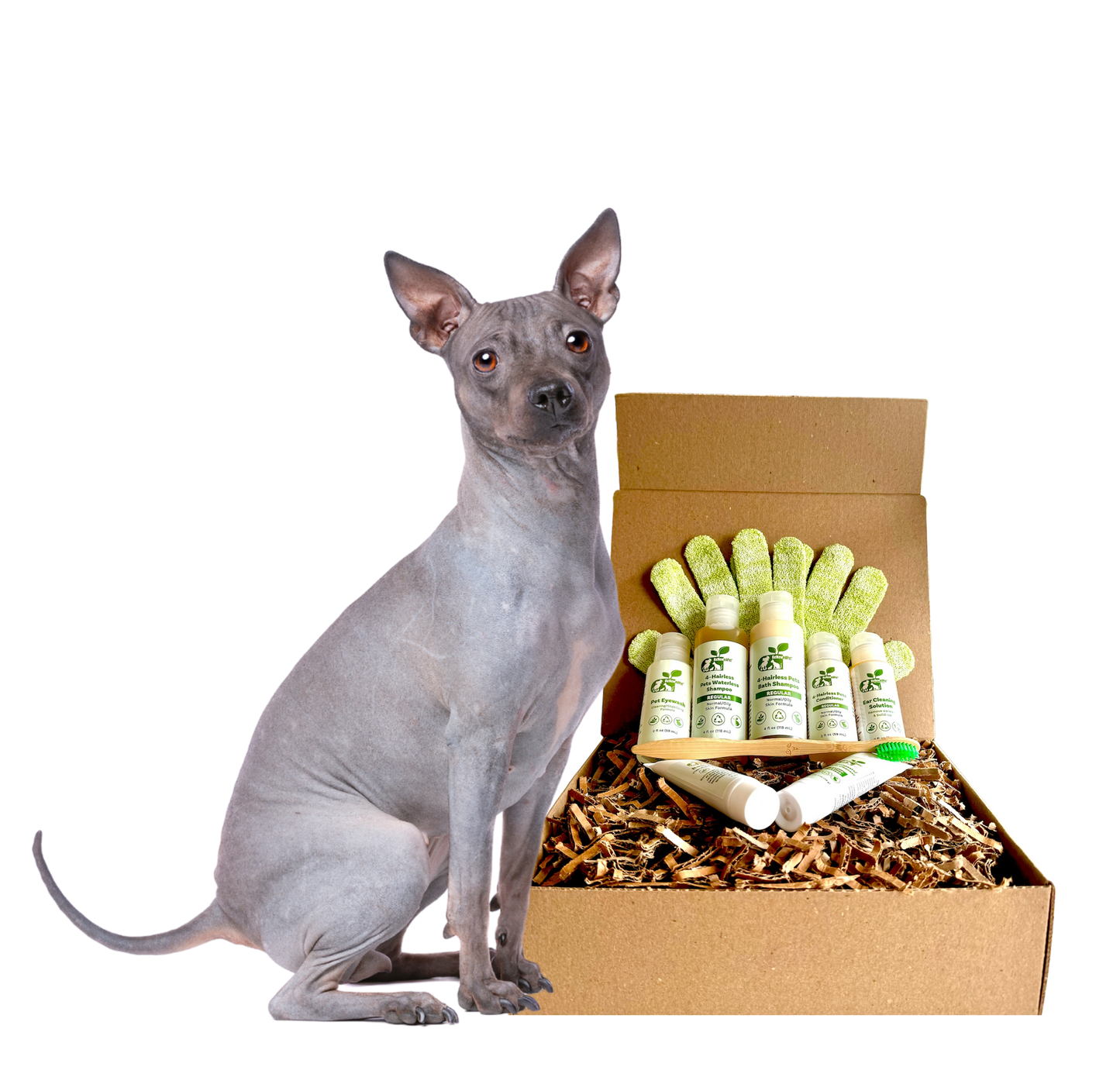 ReNewedPet 4-Hairless Pets Dog Restorative Kit with sample size bottles for nourishing and restoring hairless dog skin and coat.