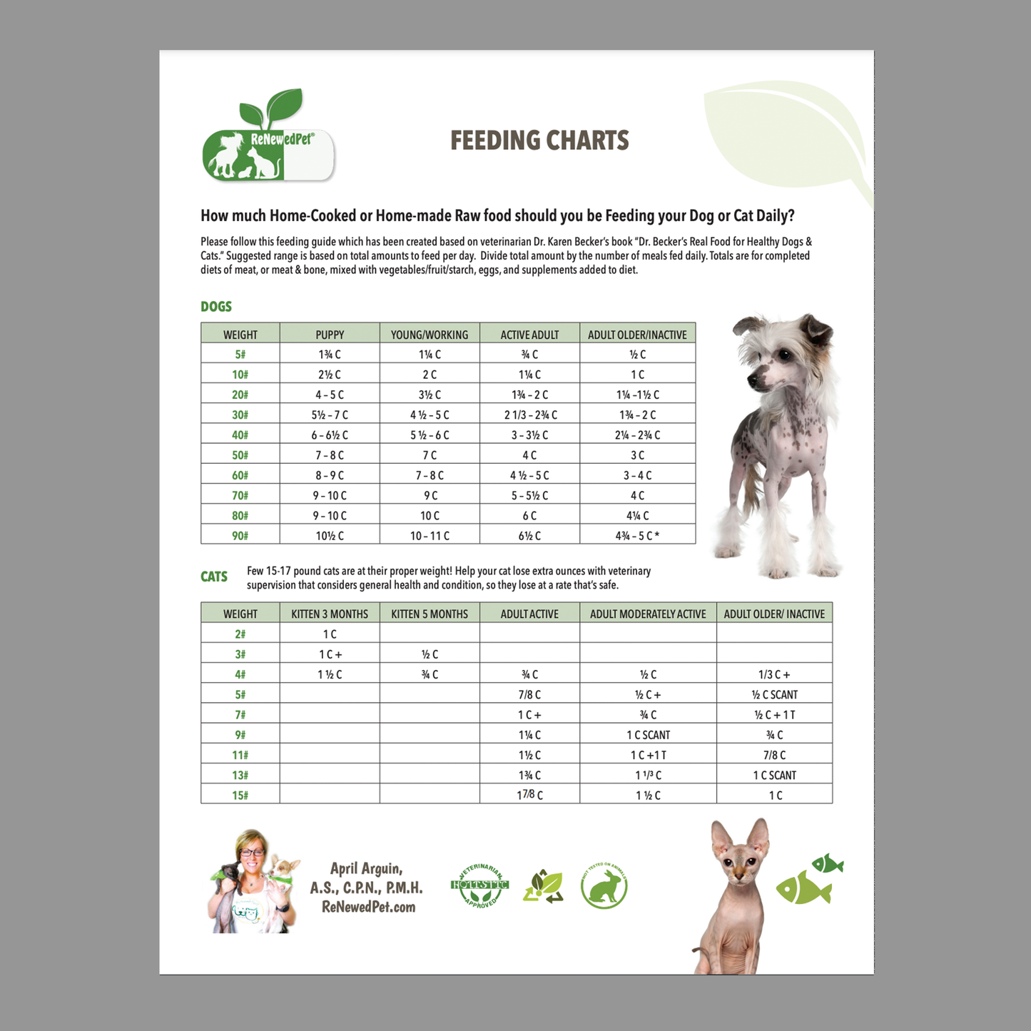 Homemade Pet Food Feeding Chart - Blessings Grow Meadows