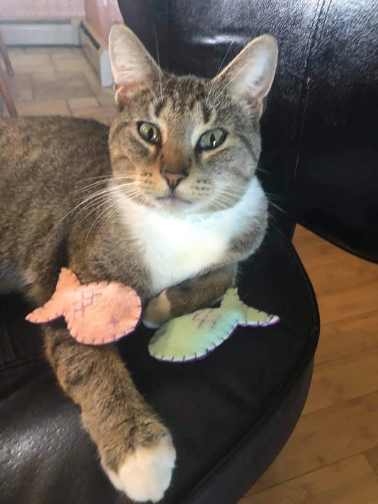 Organic Cat Nip Fish toy by ReNewedPet, a fun stuffed cat toy with organic catnip and a fish shape for playful feline fun.