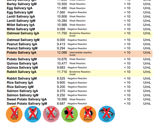 ReNewedPet dog food allergy and sensitivity test kit showing packaging and testing materials for pet health assessment.