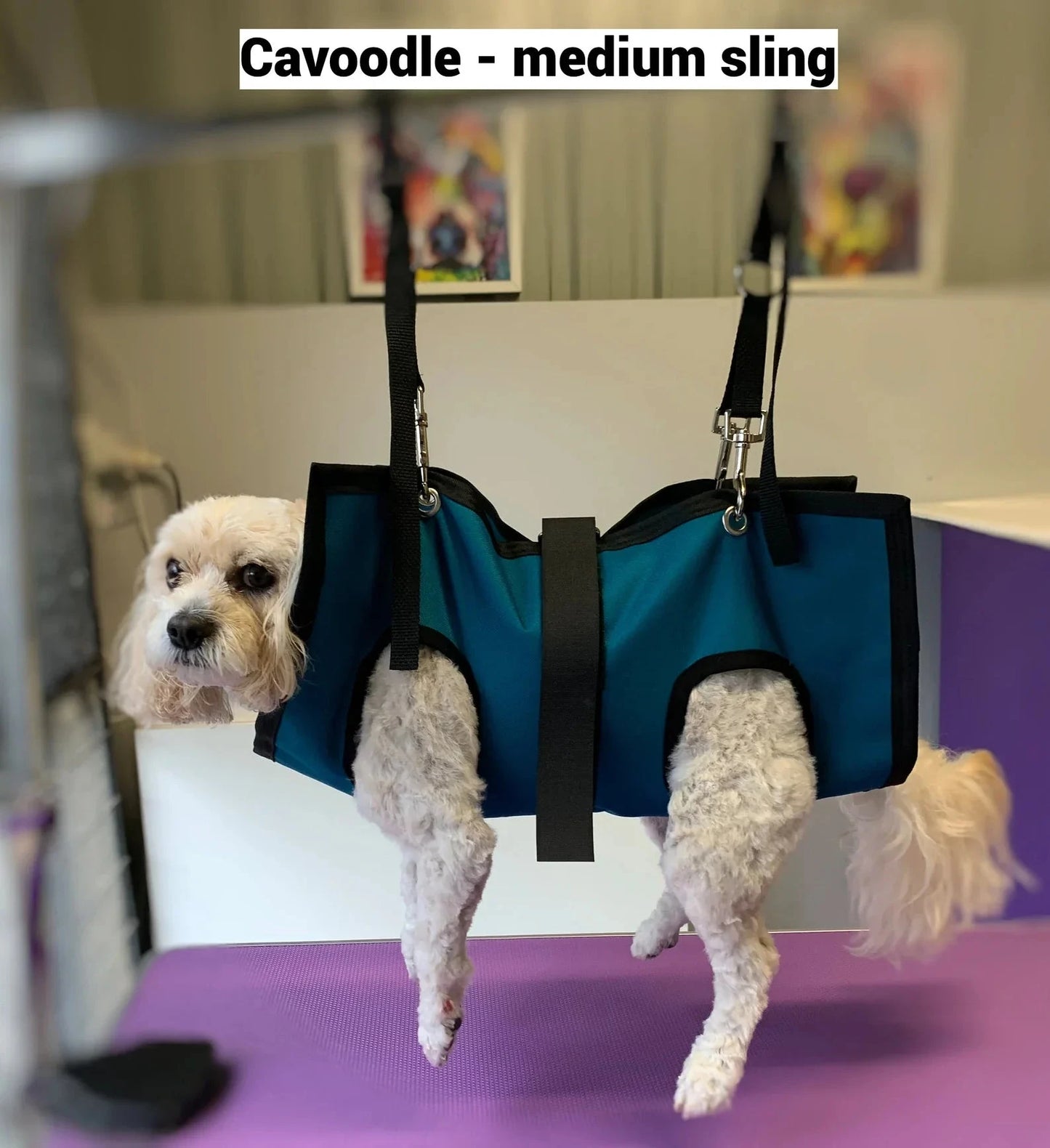 Black ReNewedPet pet grooming sling showing a compact, adjustable sling for easy grooming of small pets.