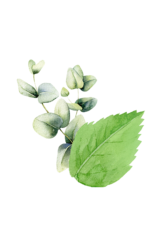 A watercolor-style eucalyptus and mint leaf design on a black background evokes the refreshing aroma of Rustic Strength’s Epsom Salt Soak | Mint & Eucalyptus pure essential oils.
