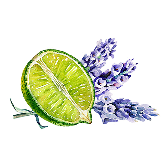 A watercolor illustration features the Rustic Strength Lavender & Lime Essential Oil Blend, showing a halved lime with two purple lavender sprigs behind it, capturing a refreshing aromatherapy essence on a white background.