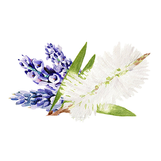 A watercolor illustration features purple lavender and green leaves alongside a white bottlebrush flower, capturing the calming essence of Rustic Strength’s Lavender & Tea Tree Essential Oil Blend on a white background.