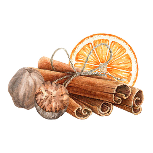 Watercolor illustration of Rustic Strengths Sweet Orange & Warm Spices Essential Oil Blend—featuring cinnamon sticks, dried orange slice, and nutmegs on white background, evoking cozy aromatherapy scents.