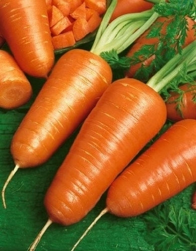 Fresh Chantenay Red Core carrots from Seattle Seed Company, showcasing their vibrant orange color and tapered shape.