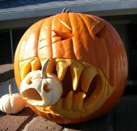 Bright orange Jack 'O Lantern pumpkin from Seattle Seed Company with carved face for Halloween decoration.