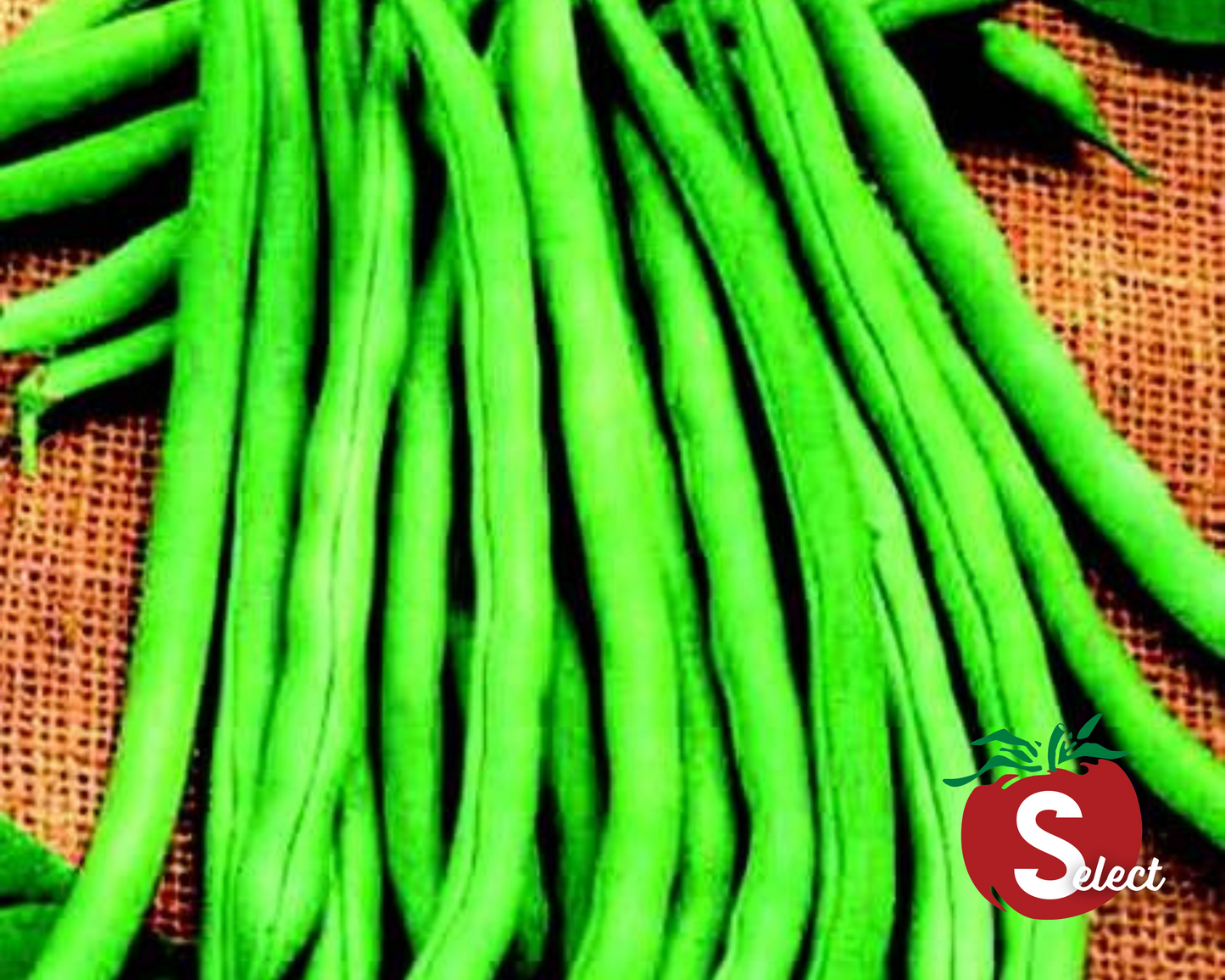 Blue Lake 274 bean seeds packet from Seeds 'n Such, showing fresh blue-green beans and seed packet label.