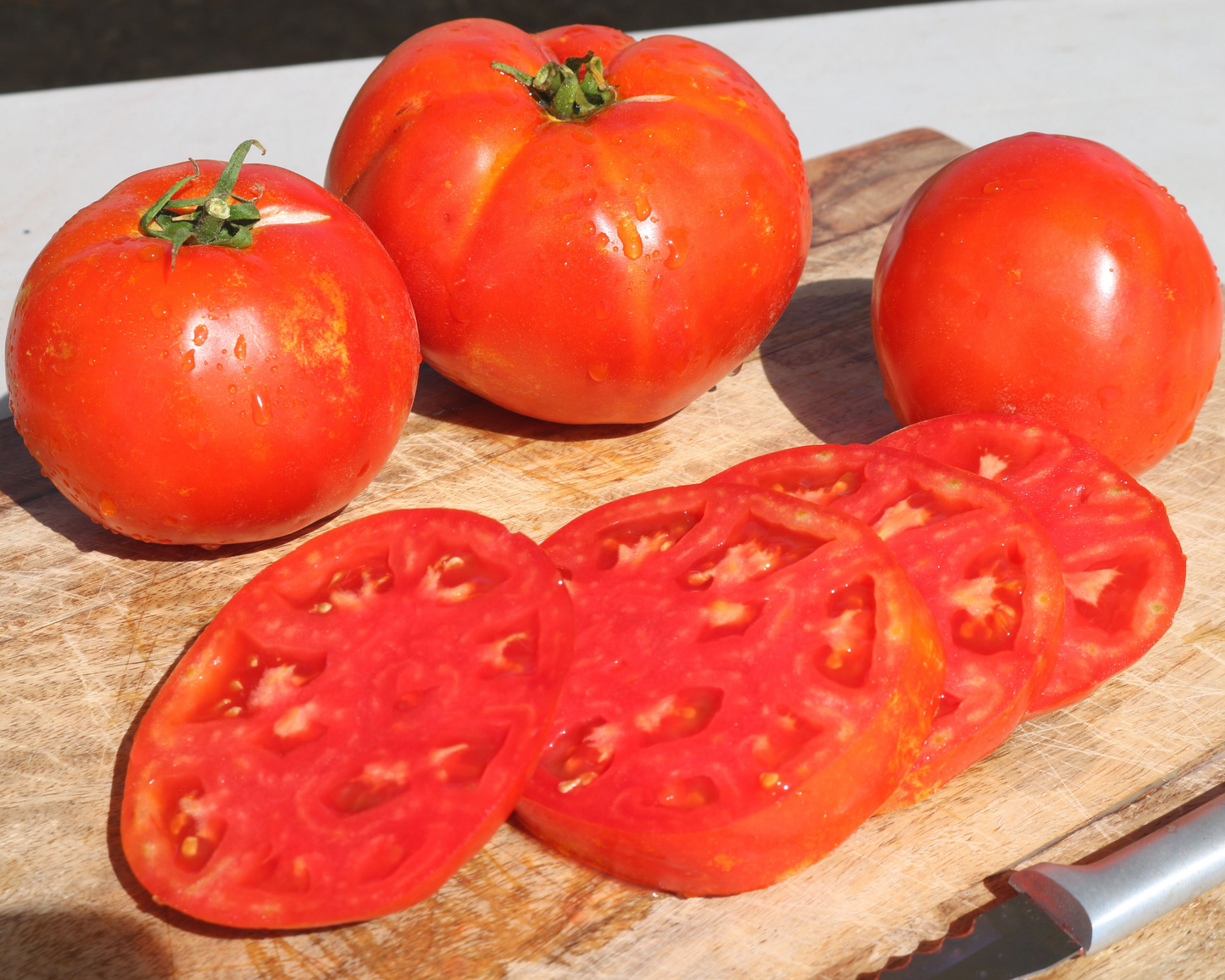 Packet of Florida 91 Hybrid Tomato Seeds from Seeds 'n Such, showing seeds inside a labeled seed packet for gardening.