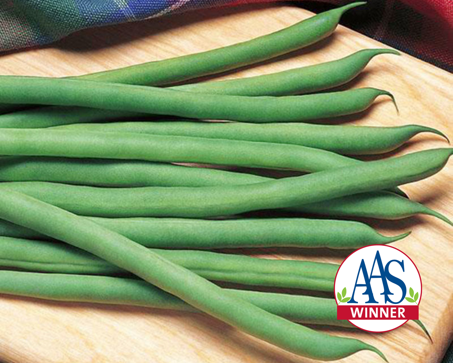 Kentucky Blue Bean Seeds - Blessings Grow Meadows