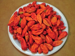 Packet of Bhut Jolokia hot pepper seeds by Seeds 'n Such, featuring 10 seeds for spicy chili plant cultivation.