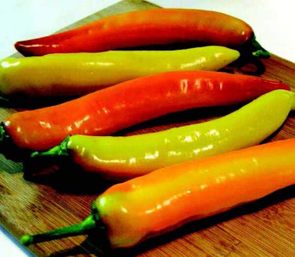 Hot Sunset Hybrid Pepper Seeds - Blessings Grow Meadows