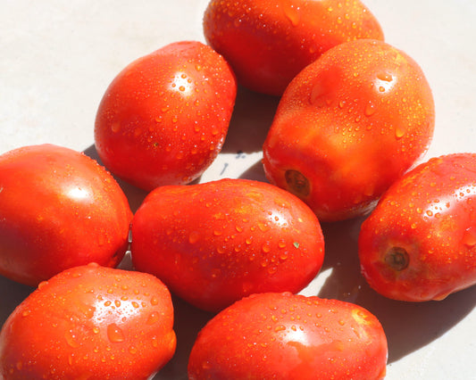 Packet of Seeds 'n Such Yaqui Hybrid Tomato Seeds showing 10 seeds in a colorful packet.