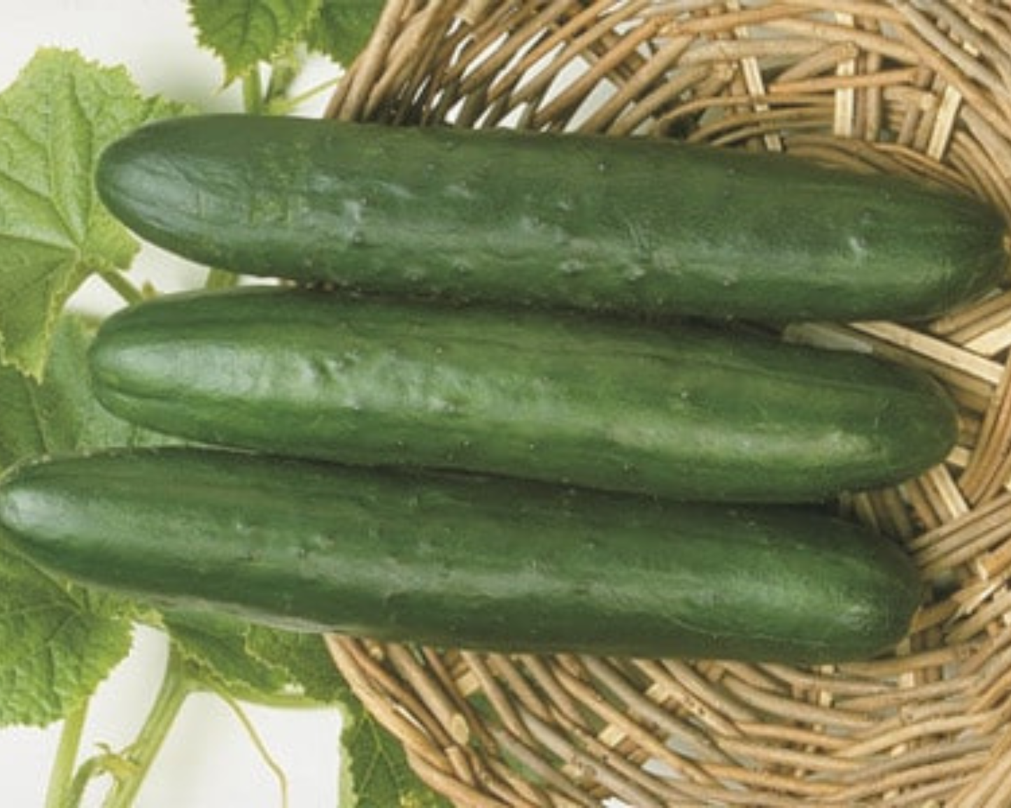 Packet of Seeds 'n Such Sweet Slice Hybrid Cucumber Seeds with 10 to 12 seeds visible in the image.