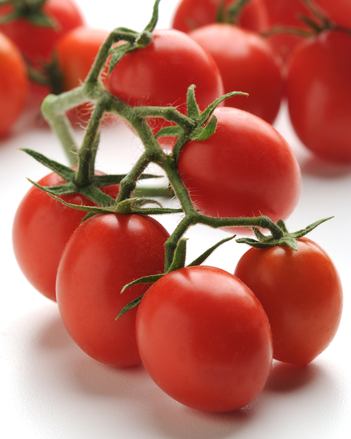 Packet of Topsy Tom hybrid tomato seeds by Seeds 'n Such showing 10 to 12 seeds on the label.