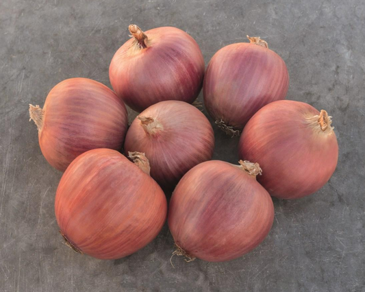 Packet of Blush Hybrid Onion Seeds from Seeds 'n Such, showing 100 seeds in a clear packet for planting.