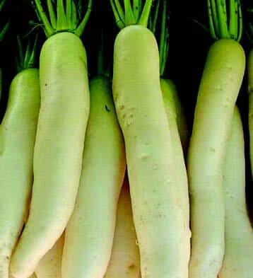 Packet of Seeds 'n Such Daikon Minowase Summer Cross No. 3 hybrid radish seeds for planting and gardening.
