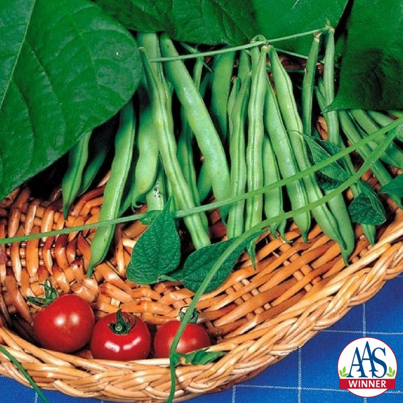 Packet of Seeds 'n Such Derby Snap Bean Seeds showing 100 seed packets for planting and gardening.