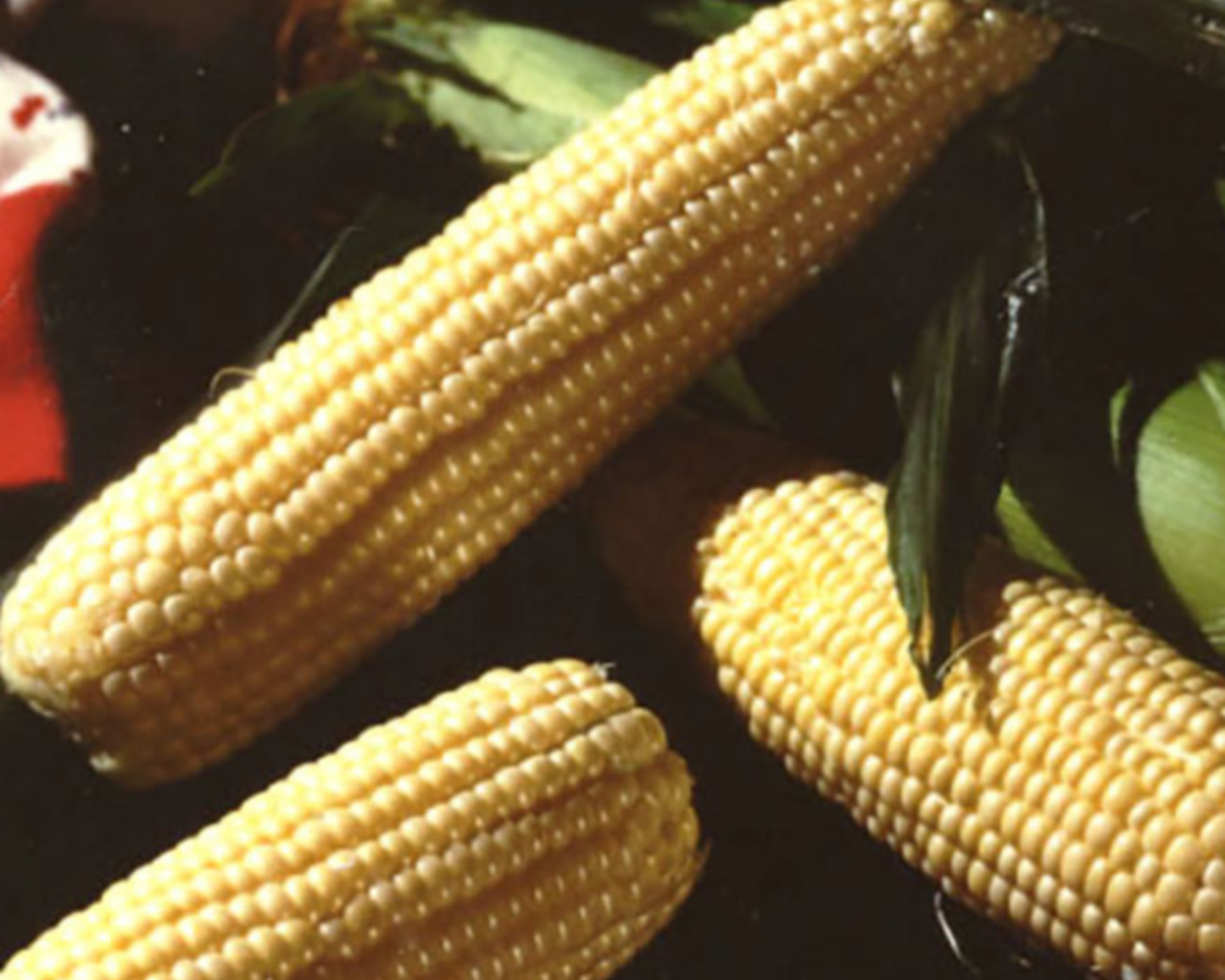 Packet of Illini Xtra-Sweet Corn Seeds by Seeds 'n Such showing 100 corn seed packets with colorful branding and seed details.