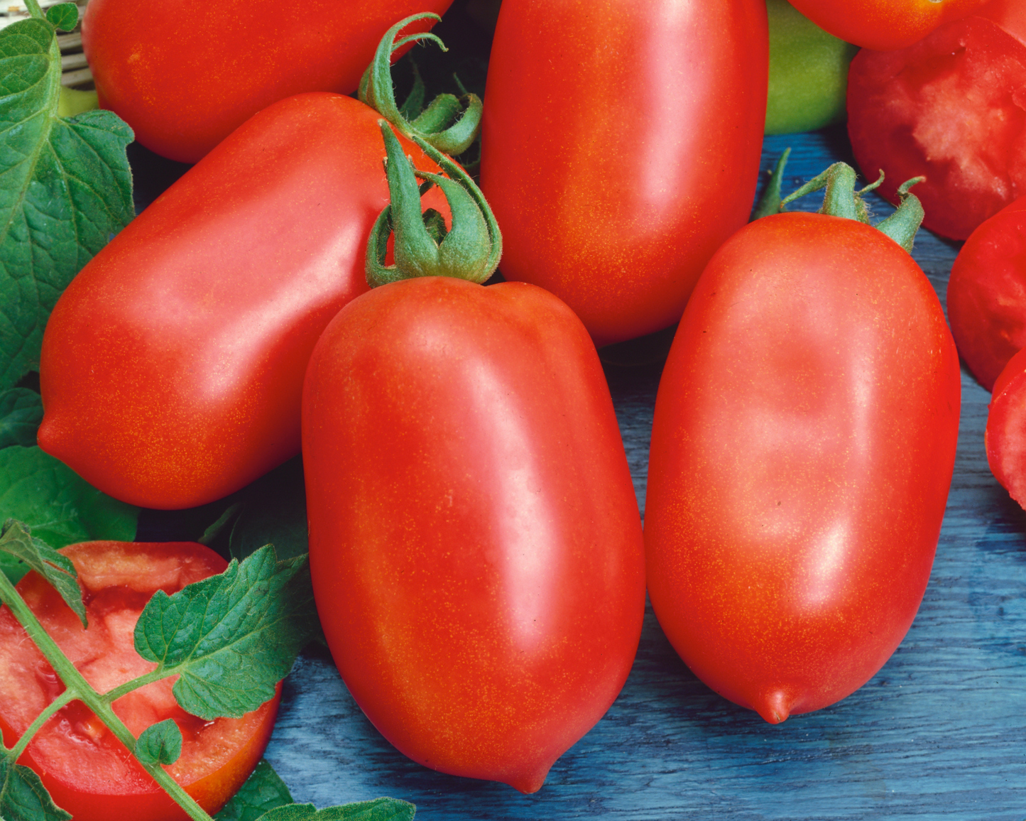 Roma Tomato Seeds packet from Seeds 'n Such, showing 100 seeds for planting and growing ripe Roma tomatoes.