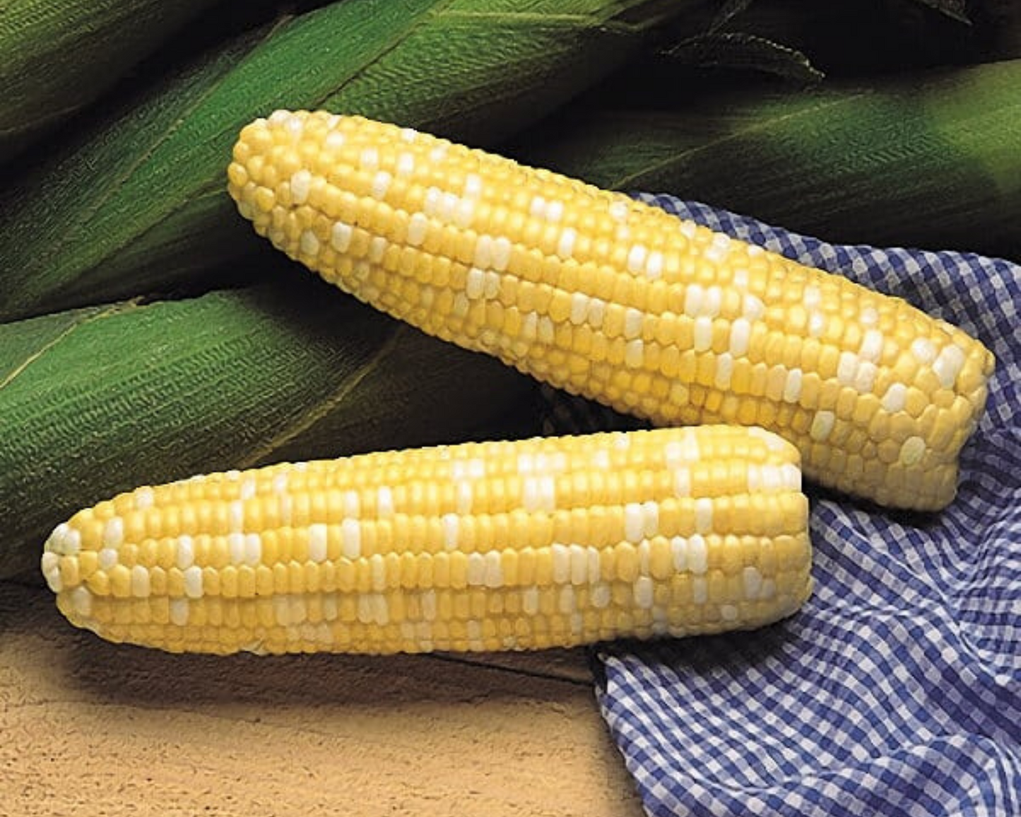 Bicolor Serendipity Corn Seeds packet from Seeds 'n Such showing colorful corn kernels and seed packet label.