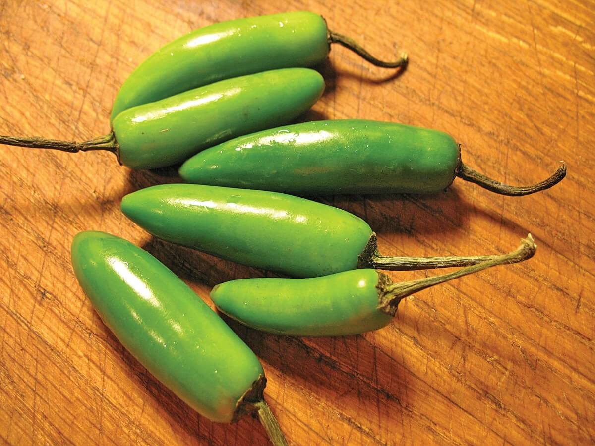 Packet of Seeds 'n Such Serrano Chili Hot Pepper Seeds showing 100 seeds in a clear packet.