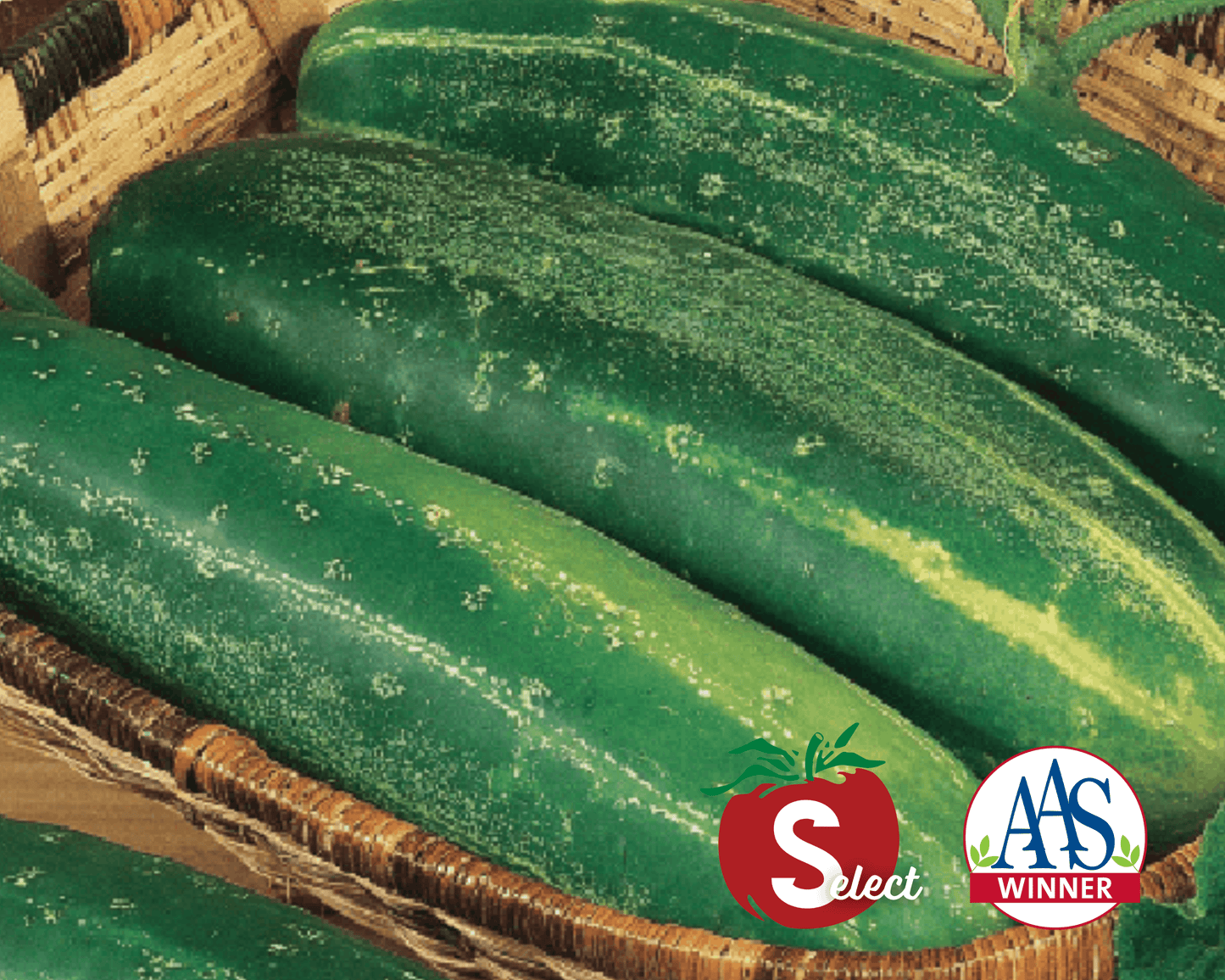 Straight Eight Cucumber Seeds - Blessings Grow Meadows