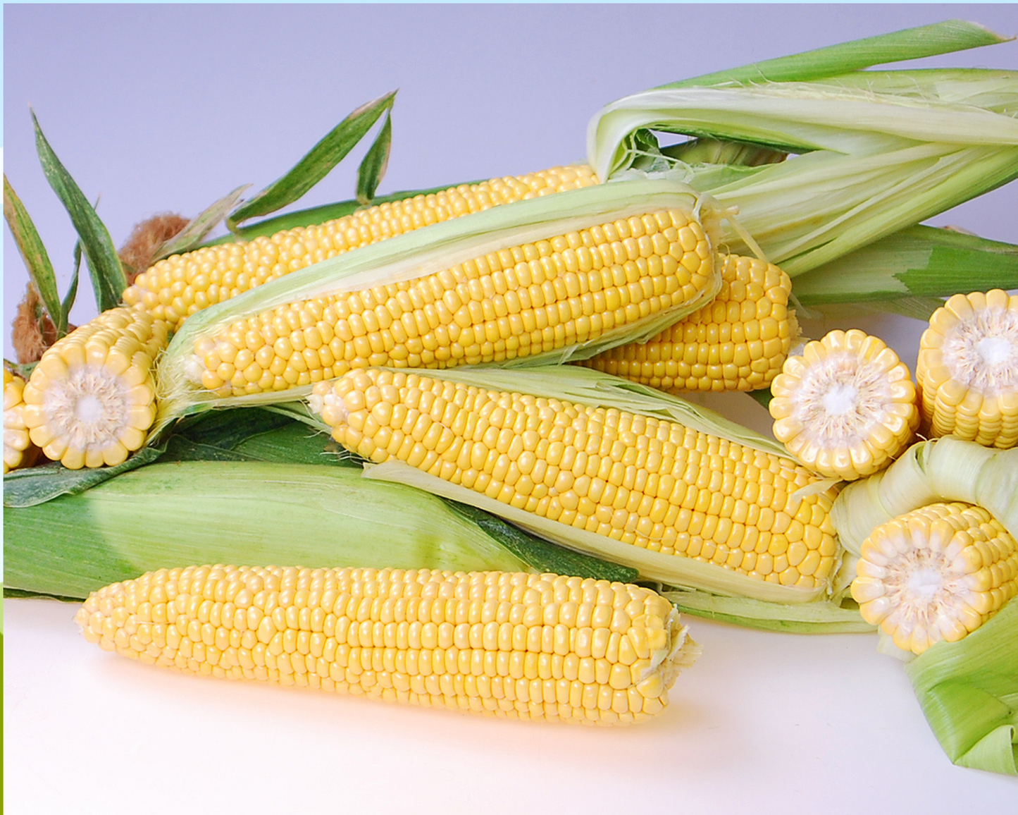 Packet of Seeds 'n Such Triple Threat yellow SH2 hybrid sweet corn seeds with 100 seeds in the package.