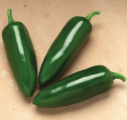 Packet of Seeds 'n Such Jalafuego Hybrid Pepper Seeds showing 12-15 seeds in a colorful packet.