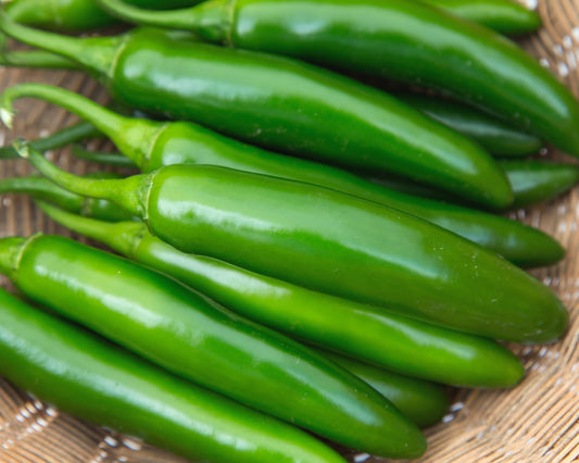 Flaming Jade Hybrid Pepper - Blessings Grow Meadows