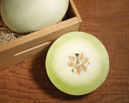 Packet of Seeds 'n Such Super Nectar Hybrid Honeydew Melon Seeds showing 12 to 15 seeds in a clear packet.