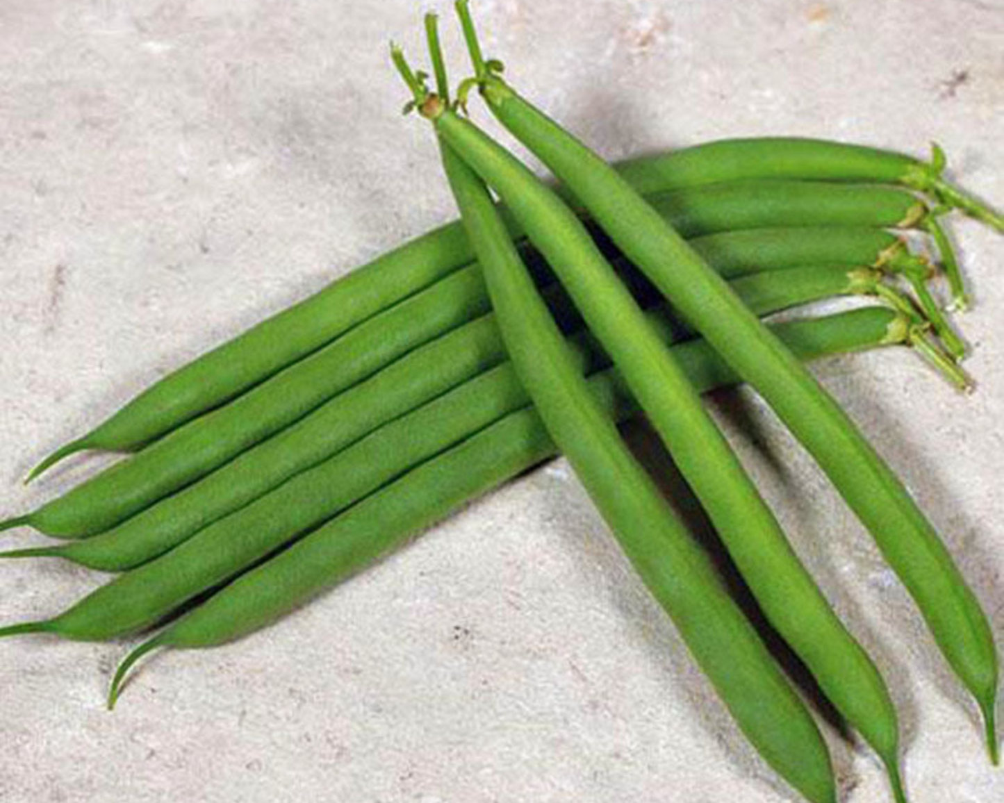 Desperado Bean Seeds - Blessings Grow Meadows