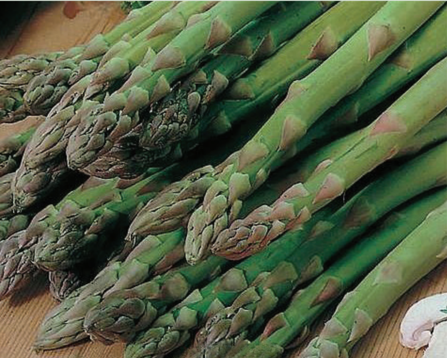 Packet of Mary Washington Asparagus Seeds by Seeds 'n Such showing 125 seeds in the packet for planting and gardening.