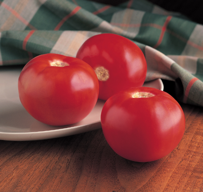 Bobcat Hybrid Tomato Seeds - Blessings Grow Meadows