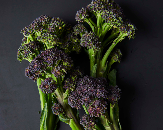 Burgundy hybrid broccoli seeds from Seeds 'n Such in a packet showing 15 to 20 seeds on a white background.