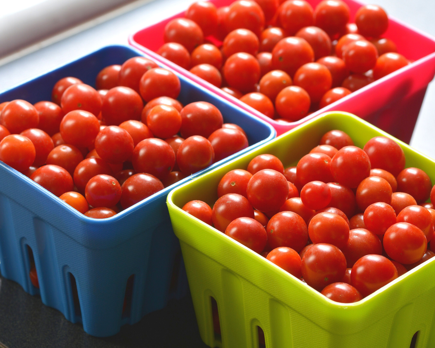 Packet of Candyland Red Tomato Seeds by Seeds 'n Such showing 15-20 seeds in a colorful seed packet.