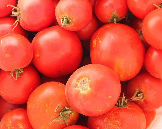 Packet of Seeds 'n Such Celebrity Plus Hybrid Tomato Seeds showing 15-20 seeds in a colorful packet.