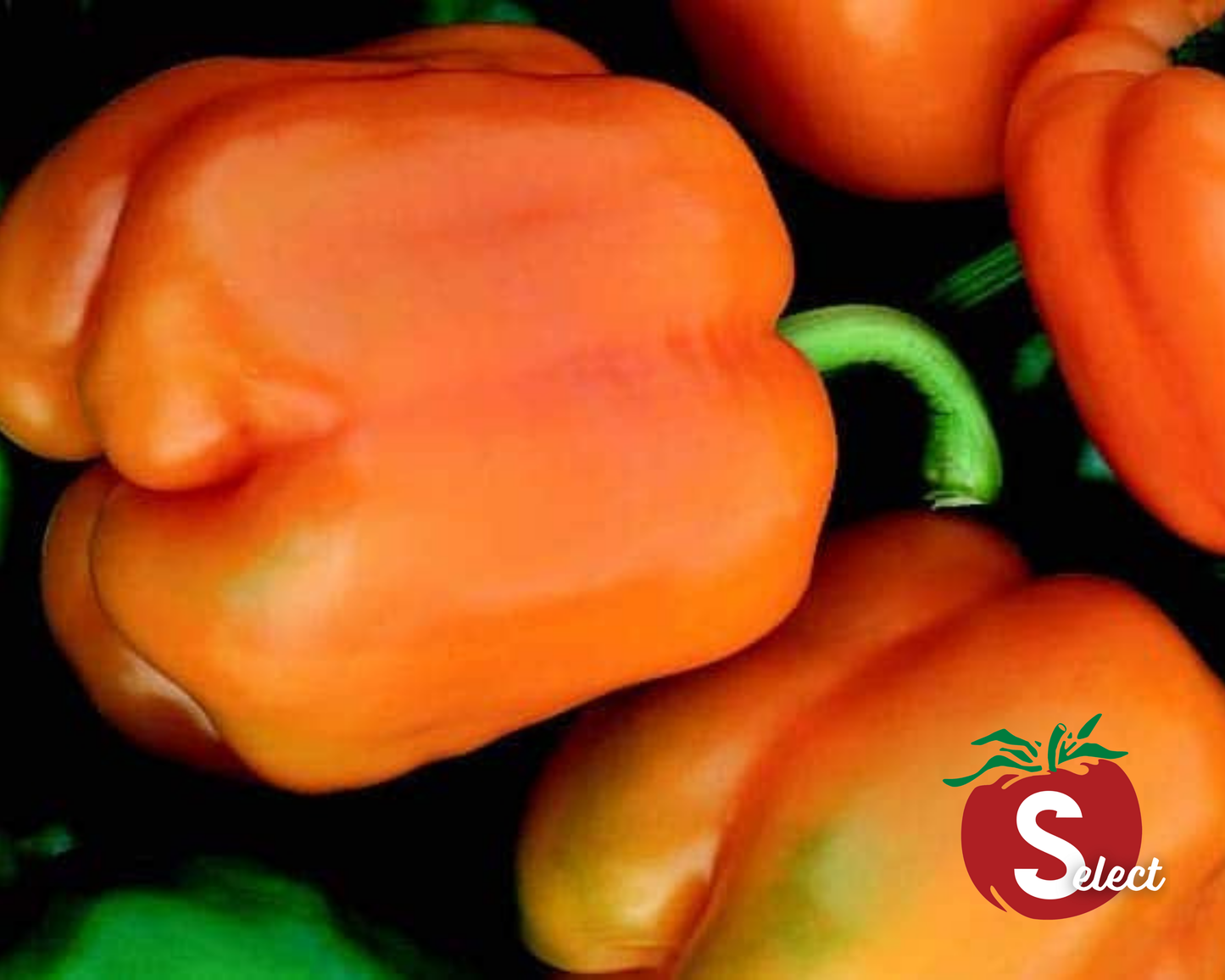 Packet of Goliath Sweet Orange Hybrid Pepper Seeds by Seeds 'n Such, featuring bright orange pepper seed packets with seed count details.