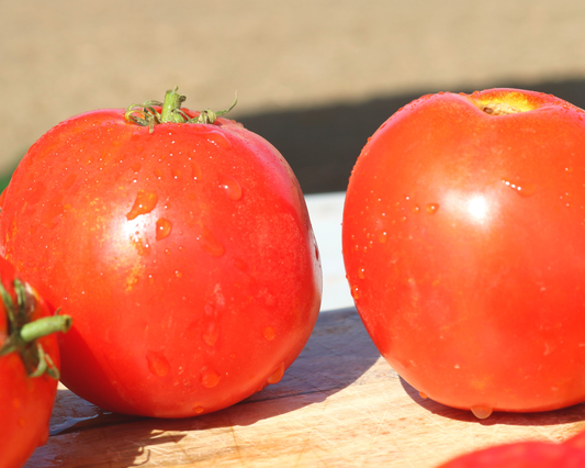 Husky Red Hybrid Tomato Seeds packet from Seeds 'n Such, featuring a colorful label and showing the seed packet design.