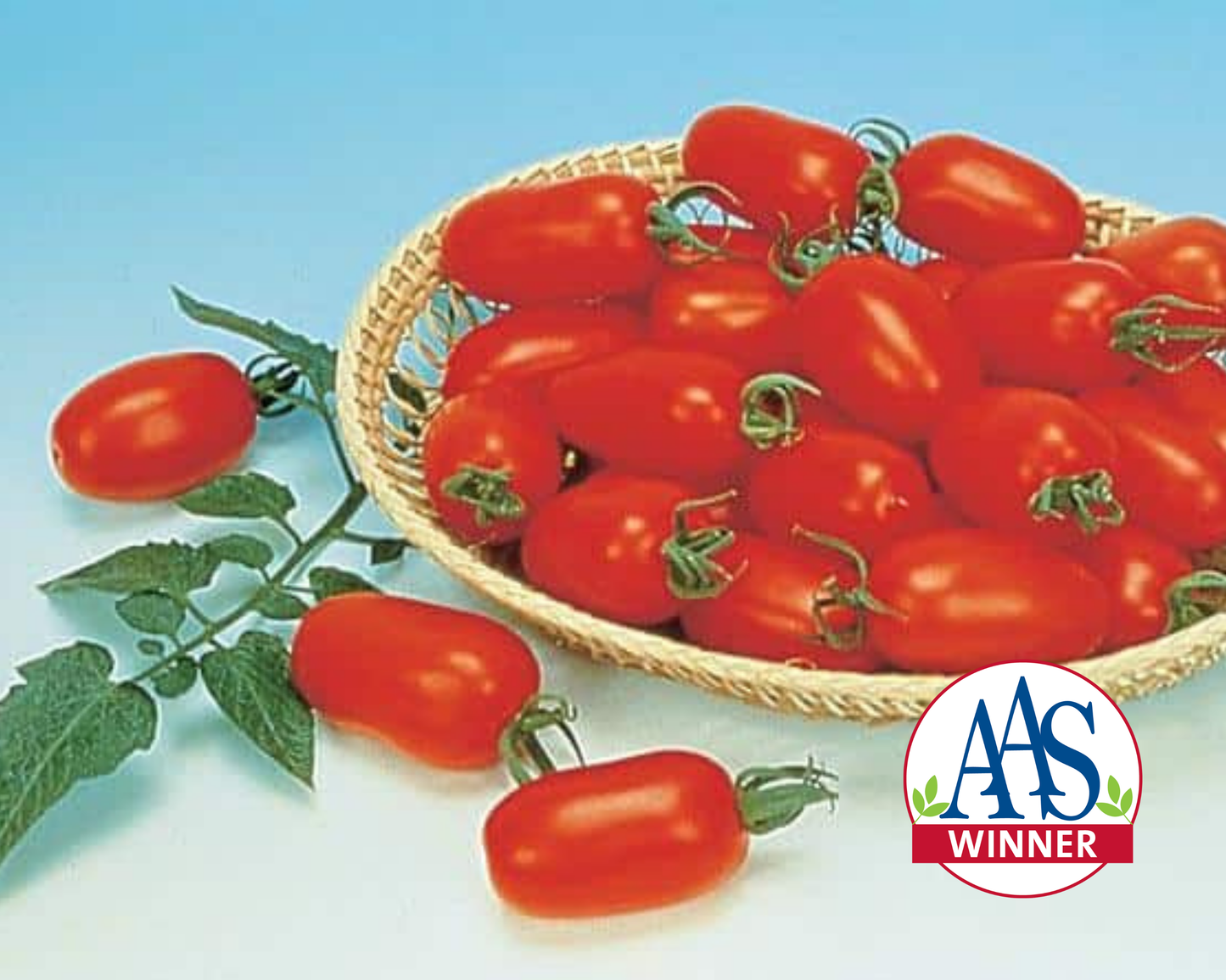 Packet of Seeds 'n Such Juliet Hybrid Tomato Seeds showing 15 to 20 seeds in a colorful packet for planting.