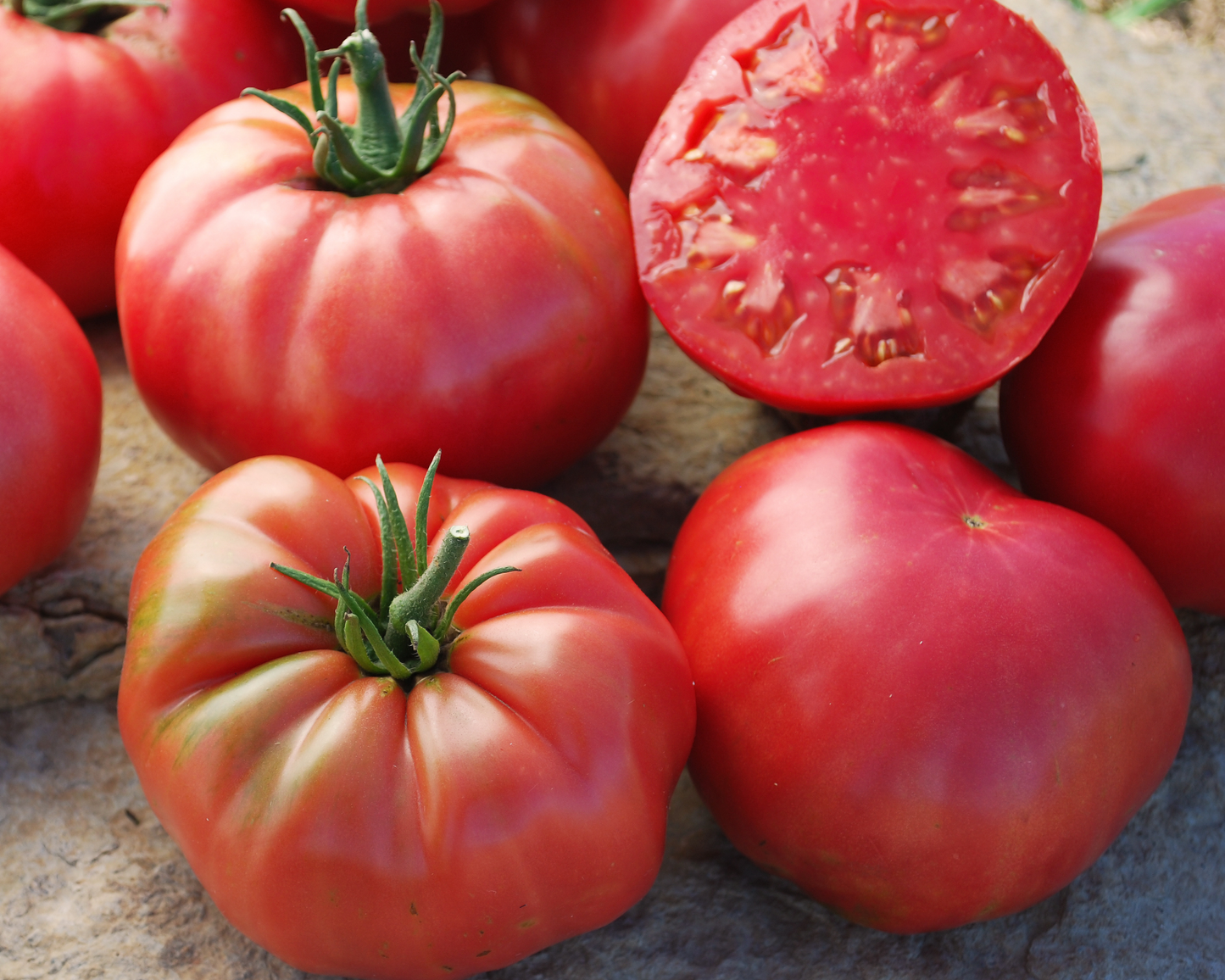Packet of Mrs. Maxwell's Big Italian Heirloom Tomato Seeds from Seeds 'n Such, showing 15 to 20 seeds in the packet.