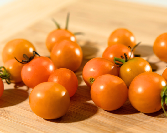 Sun Gold Hybrid Tomato Seeds packet from Seeds 'n Such showing 15-20 vibrant tomato seeds in a clear packet