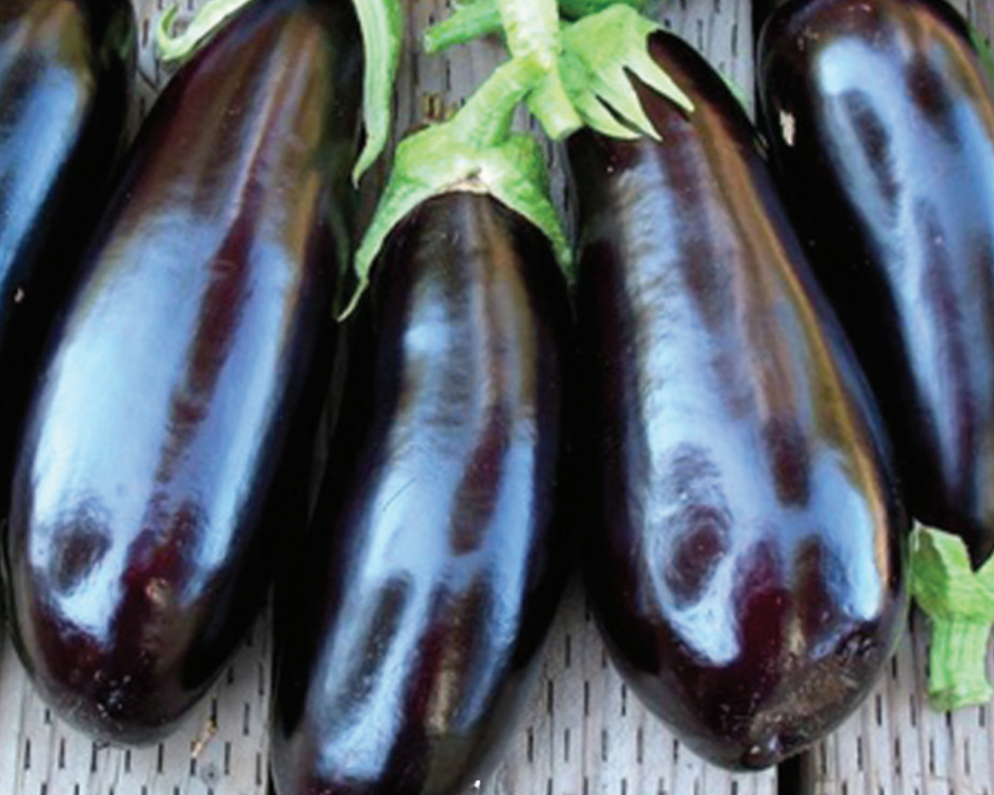 Packet of Seeds 'n Such Epic Hybrid Eggplant Seeds showing 18 to 20 seeds in a colorful packet.