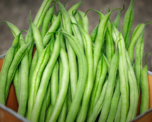 Packet of Seeds 'n Such French Filet Bean Seeds showing bright seed packet with images of mature French Filet beans and planting tips