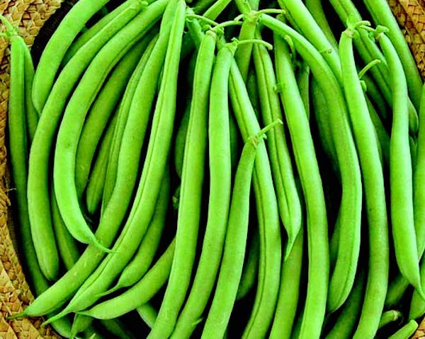Two-ounce packet of Strike Bean Seeds by Seeds 'n Such, showing fresh green bean seeds in a clear packet.