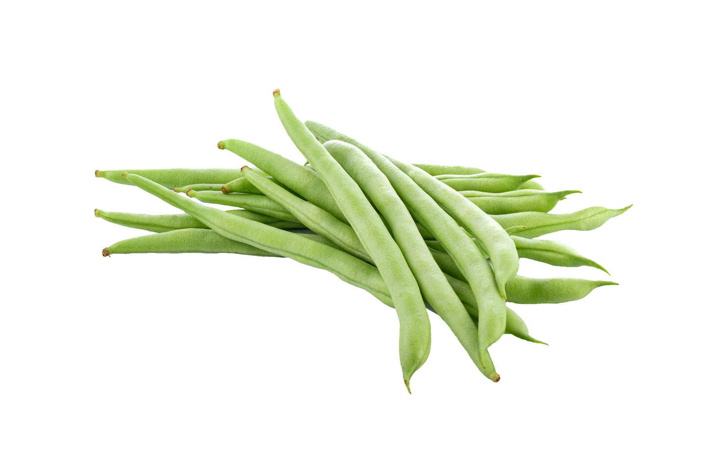 Volunteer Half-Runner Bean Seeds packet from Seeds 'n Such, showing vibrant bean seed images on a label for planting.