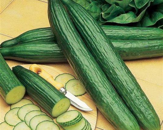 Packet of Telegraph Improved Cucumber Seeds from Seeds 'n Such showing 20 to 25 seeds in a colorful packet.