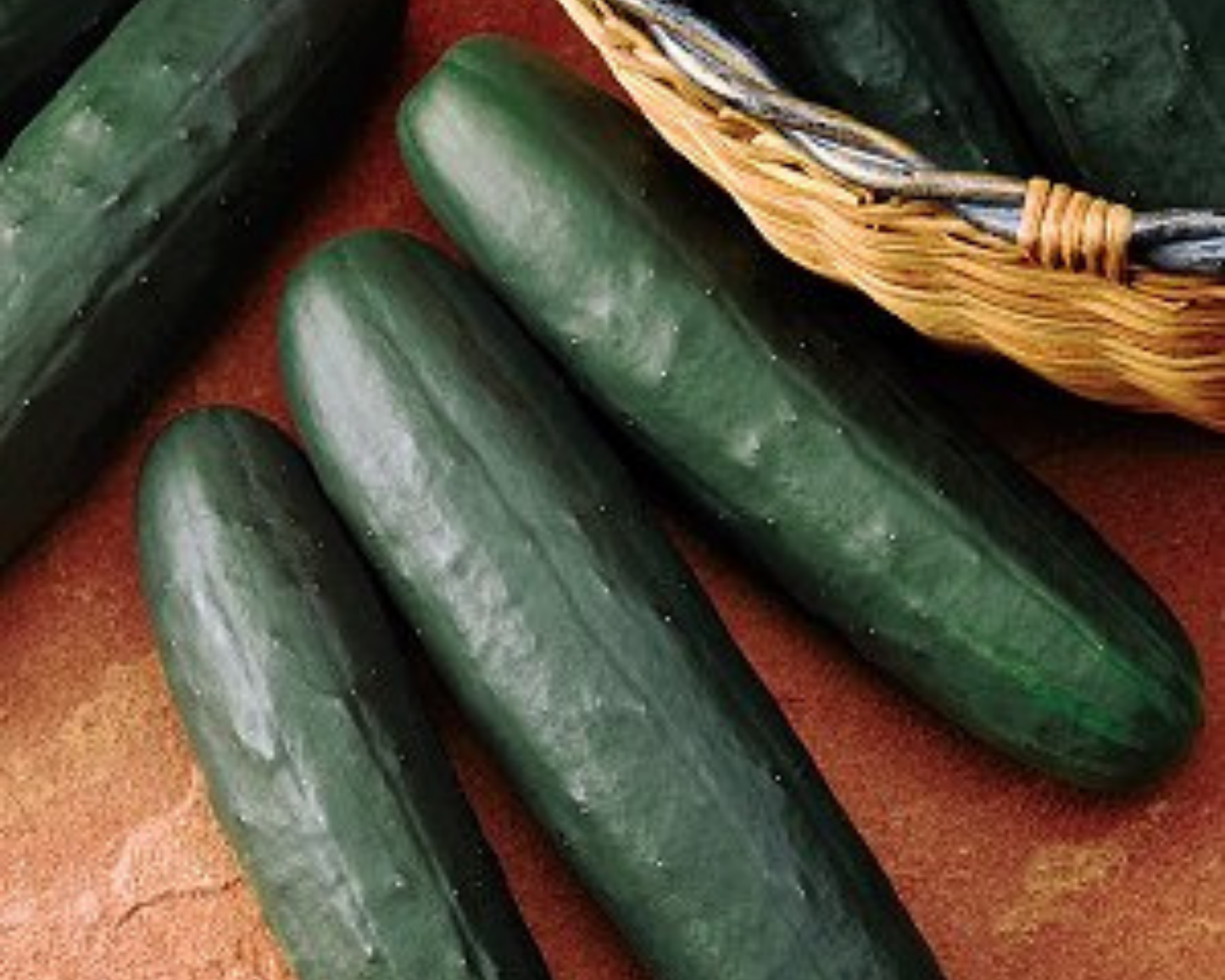 Thunder Hybrid Cucumber Seeds - Blessings Grow Meadows