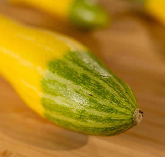 Packet of Seeds 'n Such Zephyr Hybrid Summer Squash Seeds with 20-25 seeds inside.