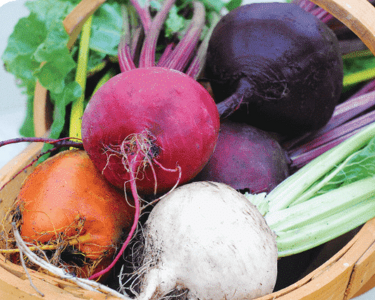 Rainbow Blend Showstopper Beet Seeds packet from Seeds 'n Such, featuring colorful beet seed varieties in a resealable packet.
